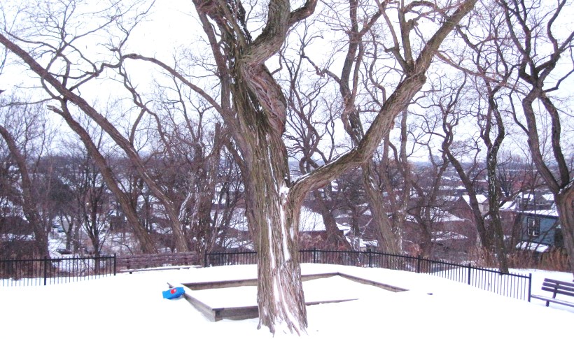 View from Hillcrest Park