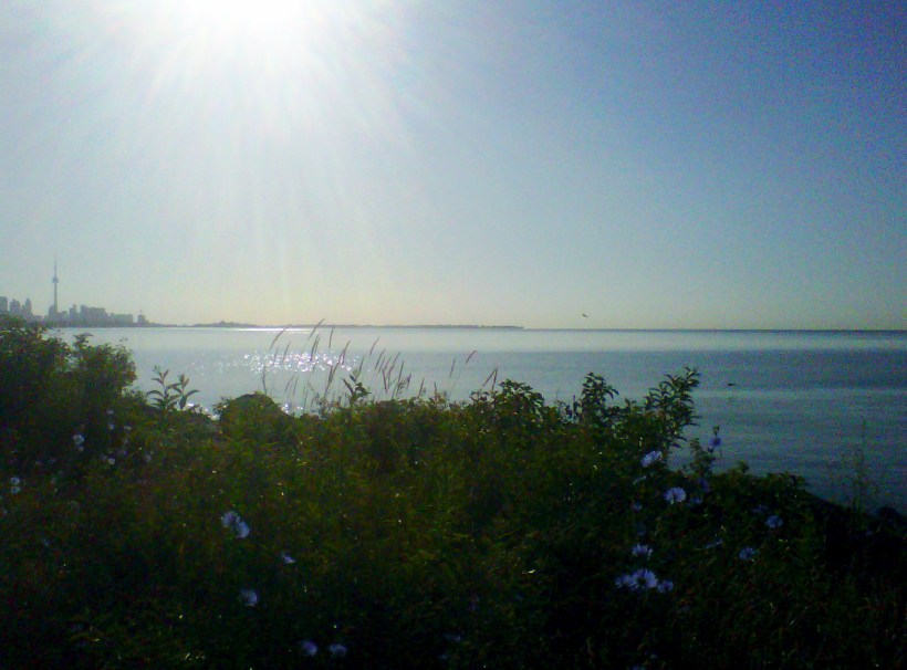 Favourite view of Toronto skyline